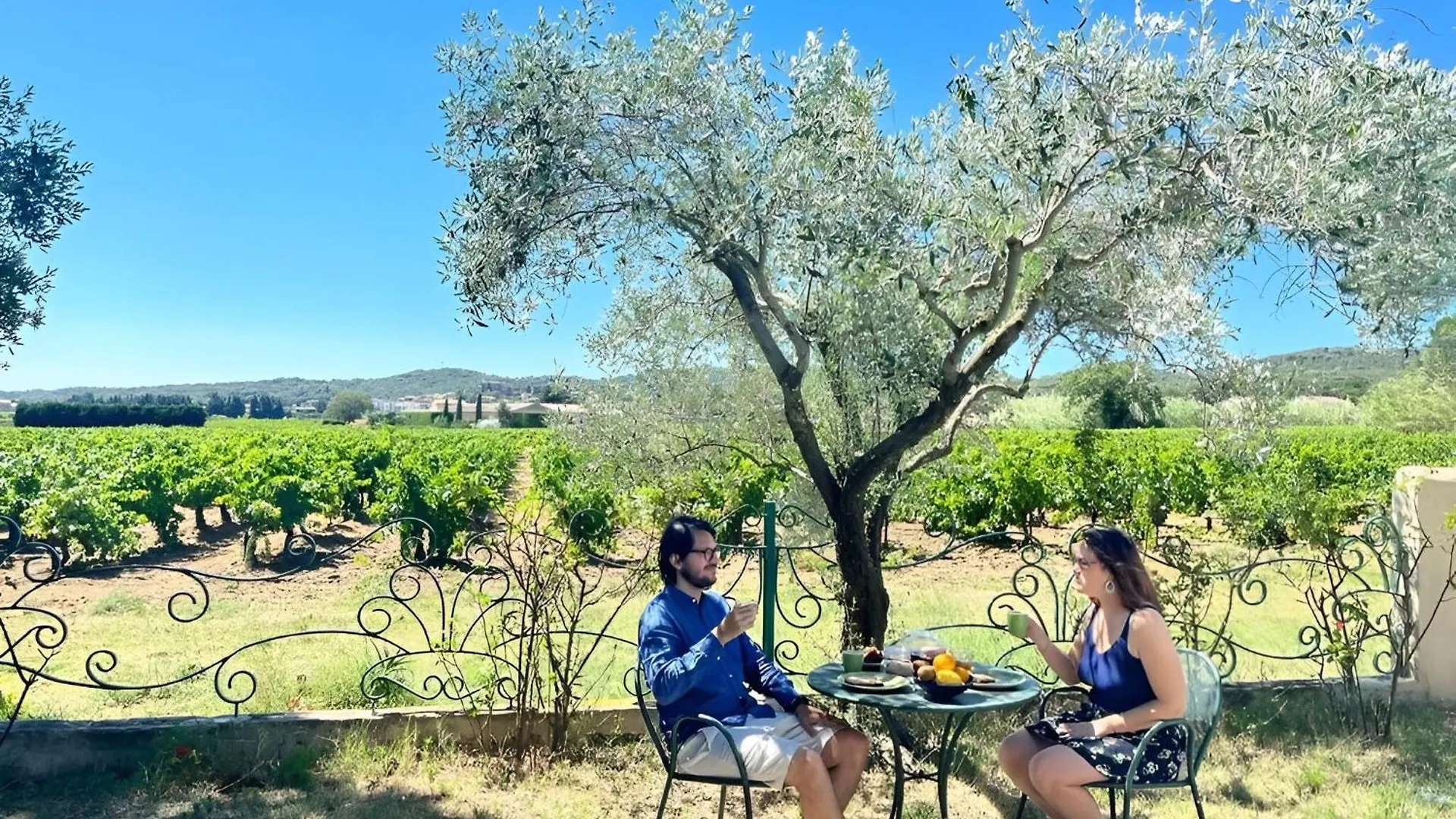 Holiday home Le Mas Des Vignes Rochegude