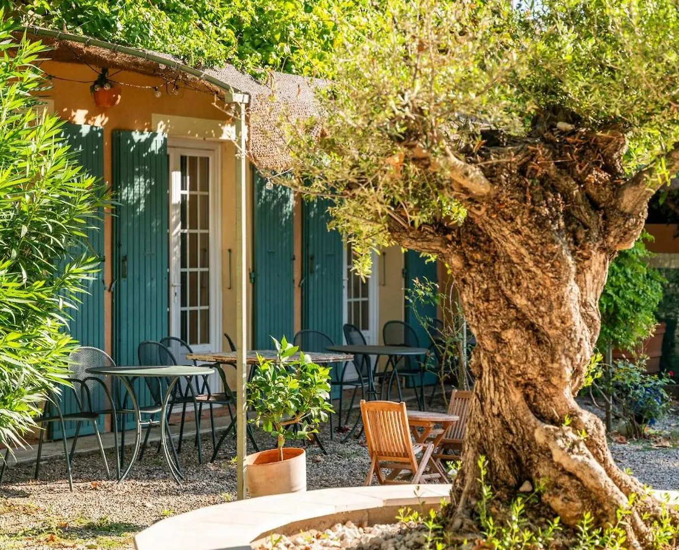 Le Mas Des Vignes Rochegude  Holiday home